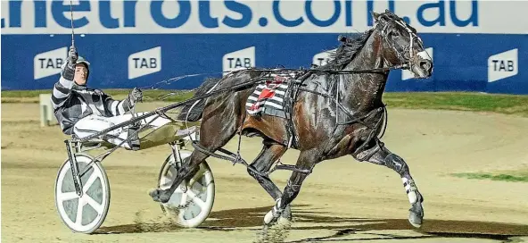  ?? STUART MCCORMICK ?? Tiger Tara pictured winning the Victoria Cup last month at Melton. He is one of the favourites to take out today’s New Zealand Cup at Addington but faces plenty of opposition from the All Stars stable.