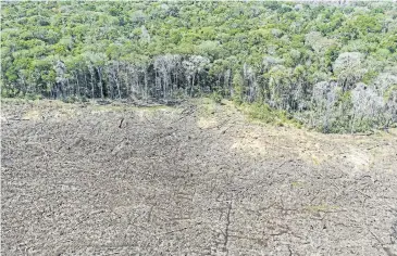  ?? AFP ?? An aerial photograph taken on Aug 7 shows a deforested area close to Sinop, Mato Grosso State in Brazil.