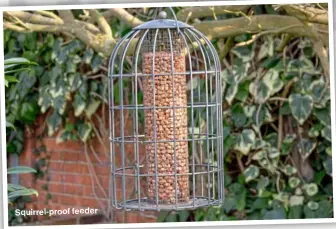  ?? STEPHEN FRENCH/ALAMY ?? Squirrel-proof feeder