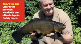  ??  ?? Tony’s top tip: Clear areas between weedbeds are often hotspots for big tench.