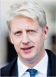  ??  ?? JO JOHNSON: Pressing for a second EU referendum