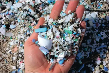  ??  ?? Microbeads added as exfoliants to health and beauty products easily pass through sewage systems and pose a potential threat to aquatic life.