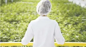  ??  ?? Aphria has continued to battle to regain its credibilit­y in recent months.