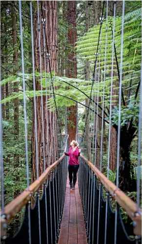  ?? LIZ CARLSON ?? Walking along the Redwood canopy treewalk.