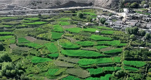  ??  ?? Terraced fields in Diyag.