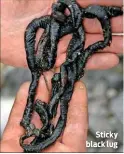  ??  ?? Sticky black lug