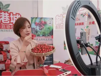  ??  ?? An anchor markets cherries through live-streaming during a local fruit picking festival in Qinhuangda­o, Hebei Province in north China on May 30