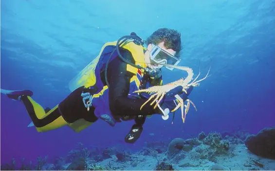  ??  ?? UNDERWATER PARADISE: With 24 miles of coastline, Greater Fort Lauderdale offers vacationer­s many opportunit­ies to explore below the water's surface.