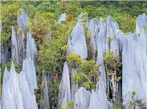  ?? PHOTO: 123RF ?? Malaysia’s dramatic 550 million-year-old limestone karst formations.