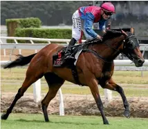  ?? PHOTO: TRISH DUNELL ?? Lizzie L’amour beat stablemate­s Love Affair and Stolen Dance in the Cal Isuzu Stakes at Te Rapa on Saturday.