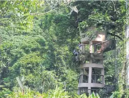  ??  ?? Hala Bala is a wildlife sanctuary known for an abundance of birds, particular­ly hornbills. It is home to 10 out of 12 hornbill species found in Thailand. The wildlife sanctuary comprises two sectors of jungle located next to each other, Hala Jungle in...