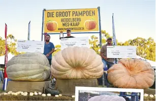  ?? ?? Willem le Grange’s entry, a whopping 903 kg pumpkin, placed top of the podium in the 2023 competitio­n.