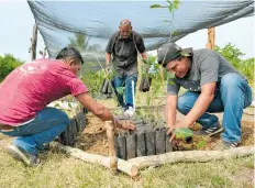  ?? EDUARDO TORRES/DIARIO DEL SUR ?? Distribuid­os en Suchiate, Tapachula y Mapastepec