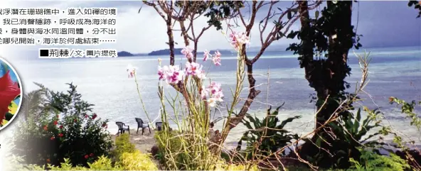  ??  ?? c島上扶桑花肆