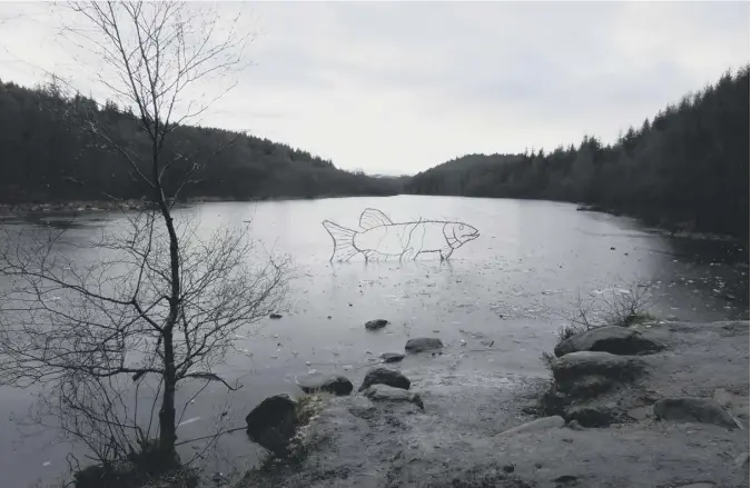  ??  ?? 0 This picture of a fish sculpture on the frozen over Lochan Spling near Aberfoyle comes from Davie Macdonald of Callander.