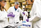  ?? JOSHUA A. BICKEL AP FILE ?? Eric Kleiner (center) sorts samples for EPA research on chemicals in drinking water.