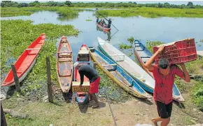  ?? JESúS RICO ?? Campesinos del municipio de Ponedera sacan los productos desde la isla en canoas.