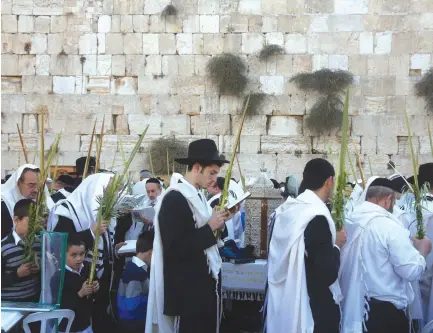  ??  ?? MEN PRAYING at the Western Wall on Sukkot.