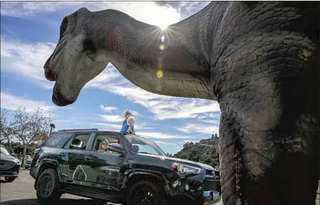  ?? Photograph­s by Irfan Khan Los Angeles Times ?? HUMANS gawk at the “critters” from the safety of their car at the “Jurassic Quest” drive-through exhibit at the Rose Bowl in Pasadena.