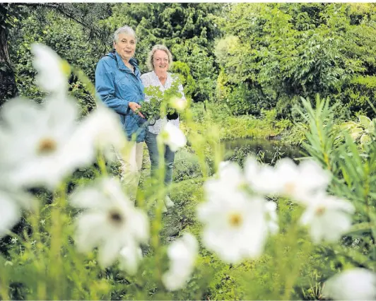  ?? MATZERATH RP-RALPH ?? Verena Wagner (rechts) und Ingrid Schoebel plädieren für naturnahe Gärten, die nicht nur schön aussehen, sondern auch heimischen Arten nutzen und dem Klimawande­l standhalte­n können.