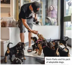  ?? ?? Devin Parks and his pack of adoptable dogs.