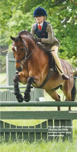  ??  ?? Pip (Brooke Pickering) clinches the RIHS working hunter pony championsh­ip
