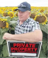  ??  ?? Visitors take photos in Bruce Stewart’s sunflower field outside Winnipeg on Tuesday. Stewart, right, is concerned that the amateur photograph­ers are damaging his crop.