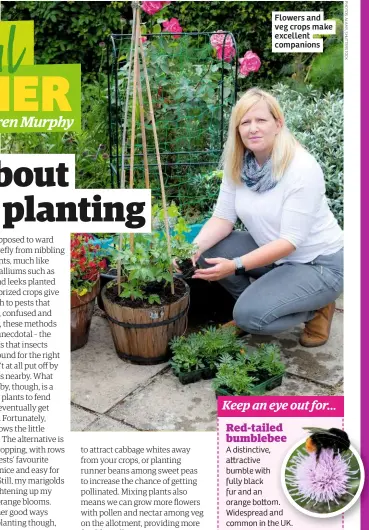  ??  ?? Flowers and veg crops make excellent companions