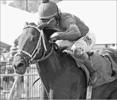  ?? COADY PHOTOGRAPH­Y ?? Kelly’s Humor, shown winning the Ellis Park Debutante, later was second in the Pocahontas.