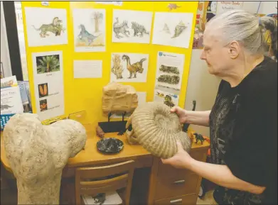  ?? Photos by Terrance Armstard/News-Times ?? The Land Before Time: Library patron Lucy Gibney places a nautiloid shell on a dinosaur exhibit at the Barton Public Library. Gibney donated several fossils to the library to better educate the public.