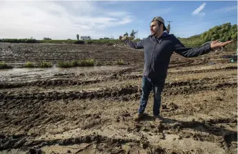  ?? Los Angeles Times/tns ?? Juan Carlos, 38, owner of American Berry Farm in Ventura, stands beside a 20-acre strawberry field that was recently flooded when the nearby Santa Clara River overflowed amid heavy rains.