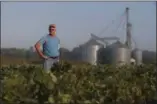  ?? MICHAEL CONROY—THE ASSOCIATED PRESS ?? Jack Maloney looks over one of the soybean fields on his Little Ireland Farms in Brownsburg, Ind., Wednesday, Sept. 12, 2018. Maloney, who farms about 2,000acres in Hendricks Count, said the aid for farmers is “a nice gesture” but what farmers really want is free trade, not government handouts.