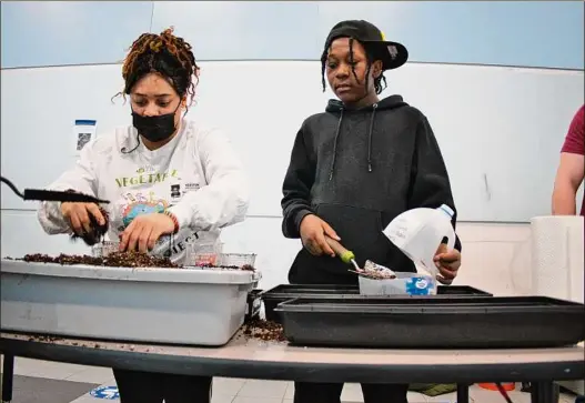  ?? Paul Buckowski / Times Union ?? Malayshia Hector, left, a volunteer with The Vegetable Project, works with Dumari Johnson, 13, an eighth grader at Stephen and Harriet Myers Middle School on March 7 in Albany. Volunteers were at the school to show children how to create small greenhouse­s out of milk jugs.