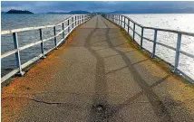  ??  ?? Petone Wharf has a serious dip in it following two earthquake­s either side of New Year’s Day. Five piles were damaged, causing the wharf to slump following the shakes on December 31 and January 2, which were recorded at magnitudes of 4.5 and 4.2, respective­ly. They were both centred near Upper Hutt. Hutt City Council said engineers inspected the wharf last Saturday and declared it safe. It remains open to the public. The damaged piles will be replaced on Monday as part of scheduled repairs.