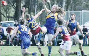  ??  ?? Ellinbank’s Chris Gardiner wins the tap over Warragul Industrial­s player Sam Davies.