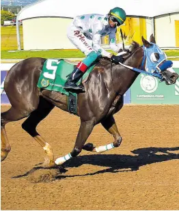  ?? ANTHONY MINOTT/FREELANCE PHOTOGRAPH­ER ?? ZAYN’S PRINCESS, ridden by Roger Hewitt, wins the seventh race over five furlongs straight at Caymanas Park on Saturday, March 9, 2024.