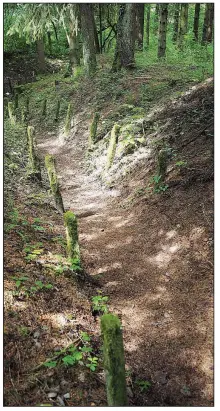  ??  ?? Throughout Picardy and Lorraine in France, trenches built by World War I soldiers 100 years ago are still visible.