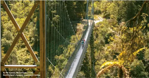  ??  ?? At 141 metres, Maramataha is the North Island’s longest suspension bridge