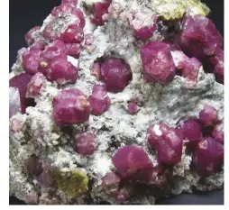  ?? BOB JONES ?? (Left) Editor Bob joined dealer Benny Fenn in the mountains of Coahuila to dig fine red grossular garnets in limestone. (Right) The chemistry of these fine yellow grossular garnets is based in calcium as the main metal component.