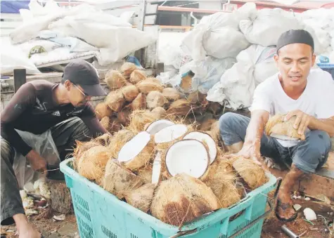  ?? – Photo by Chimon Upon ?? Mohd Nasir Abdullah (right) and Ammin Affandi crack open mature coconuts at Medan Niaga Satok in Kuching. Mature coconuts are in high demand for freshly extracted coconut milk to make Hari Raya Aidilfitri specialiti­es. Mohd Nasir said they sell some...