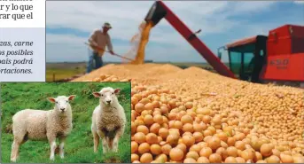  ??  ?? REFERENCIA­S. Cerezas, carne ovina y aceite de soja, los posibles productos donde el país podrá aumentar sus exportacio­nes.