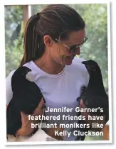  ??  ?? Jennifer Garner’s
feathered friends have
brilliant monikers like
Kelly Cluckson