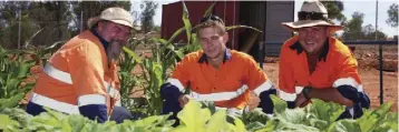  ??  ?? Community Project: Cobar Market Garden