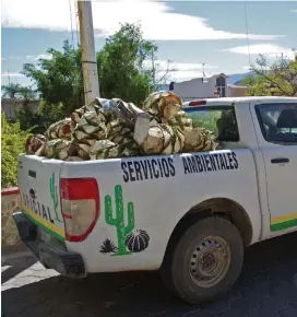  ?? ESPECIAL ?? La Reserva de la Biósfera es un área natural protegida.