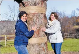  ?? AP ?? Lissette Gutiérrez y Shirley Figueroa abrazan a “Shelby”.