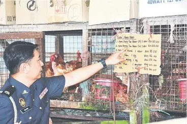  ??  ?? Salihin checks the prices of live chickens at the market.