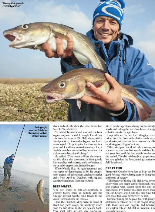  ??  ?? The squid approach certainly paid off
Swinging in another fish from the murky waters
of the Humber