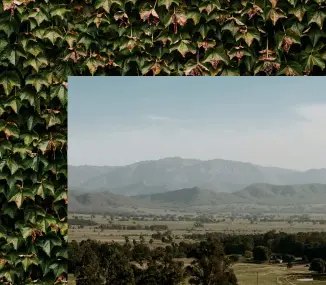  ??  ?? FROM TOP: A typically bucolic High Country scene; Devour a pie from Harrietvil­le Bakery.