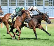  ?? RACE IMAGES ?? Levante, right, holds out Roch ‘N’ Horse at the finish of Saturday’s Telegraph race at Trentham.