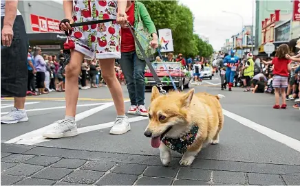  ?? ANDY MACDONALD/ STUFF ?? New Plymouth’s Christmas Parade on Saturday was a huge event with thousands of families lining the main street through the city for 30 minutes of fun.